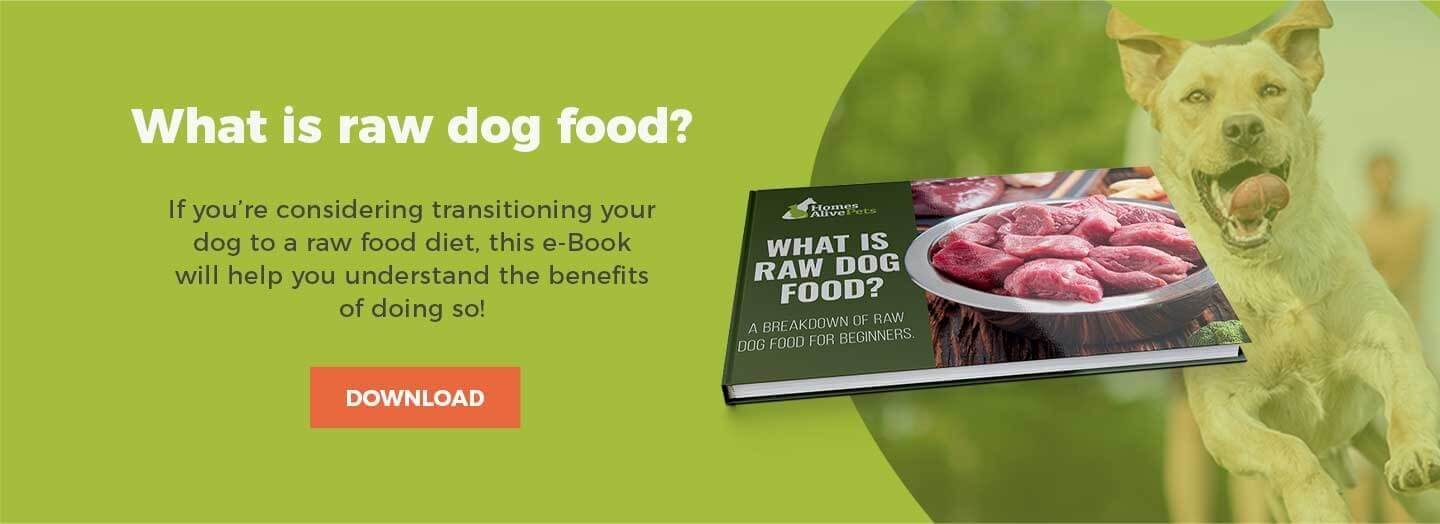 Cooling Foods for Dogs A Basic Food Energetics for Dogs Guide